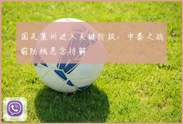 国足集训进入关键阶段，中泰之战前防线悬念待解 - 澳客网推荐