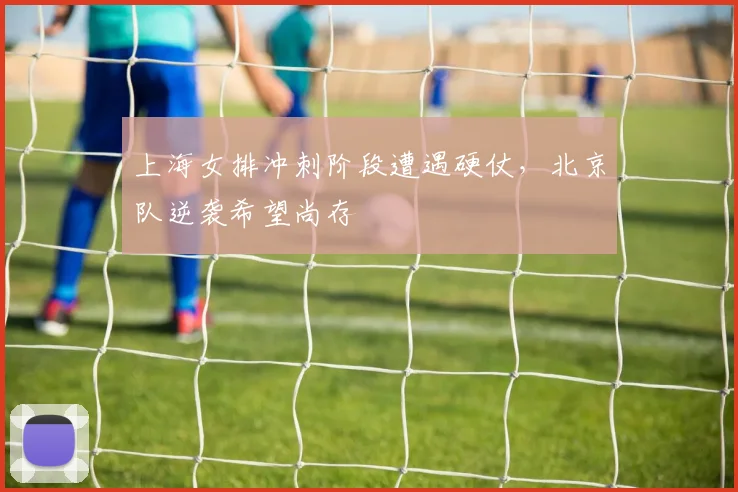 上海女排冲刺阶段遭遇硬仗,北京队逆袭希望尚存 - 澳客网推荐