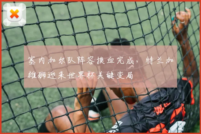 塞内加尔队阵容换血完成,特兰加雄狮迎来世界杯关键变局 - 澳客网推荐